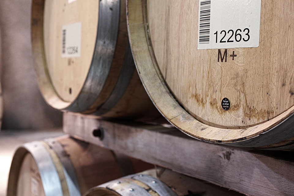 Bodacious Barrels